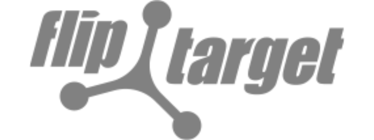 FLIP TARGET 